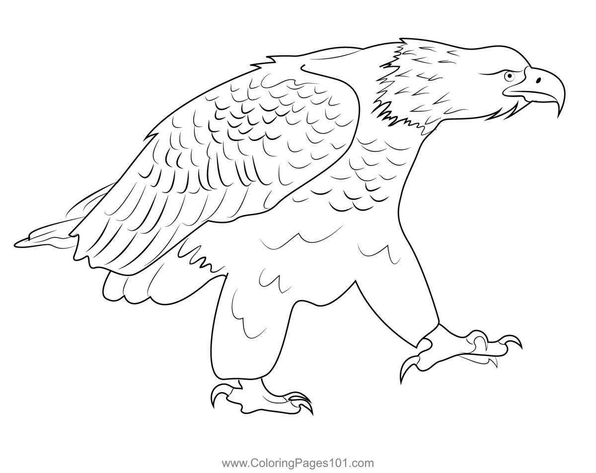 harpy eagle coloring pages