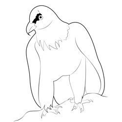 Bearded Vulture Free Coloring Page for Kids