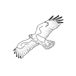 Buzzard 1 Free Coloring Page for Kids