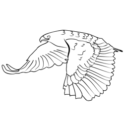Buzzard 3 Free Coloring Page for Kids