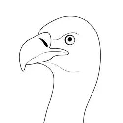 Cape Vulture Head Free Coloring Page for Kids