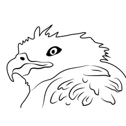Eagle Head Free Coloring Page for Kids