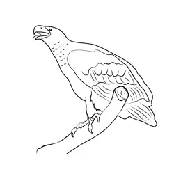 Giant Eagle Free Coloring Page for Kids