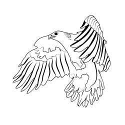 Golden Eagle 2 Free Coloring Page for Kids
