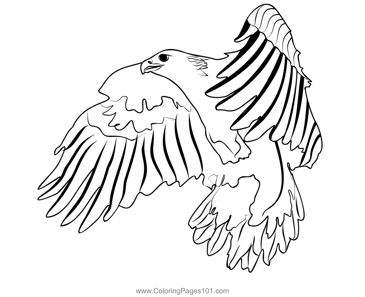 Golden Eagle 2