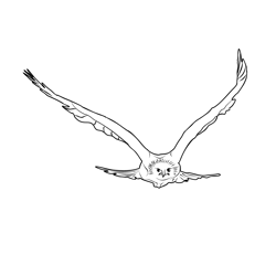Golden Eagle 3 Free Coloring Page for Kids