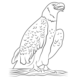 Happy Eagle Free Coloring Page for Kids
