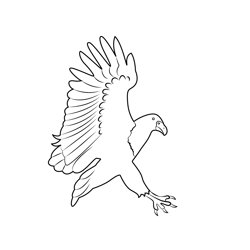 Landing African Fish Eagle Free Coloring Page for Kids