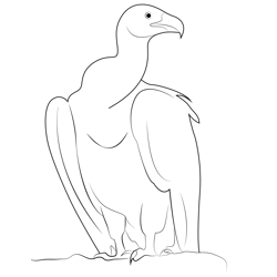 Rest Vulture Bird Free Coloring Page for Kids