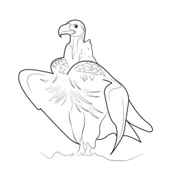 Stand Vulture Bird Free Coloring Page for Kids