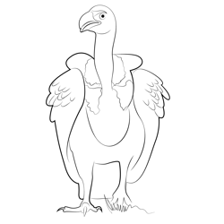 Whiterumped Vulture Free Coloring Page for Kids