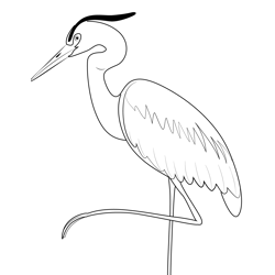 Beautiful Heron Bird Free Coloring Page for Kids