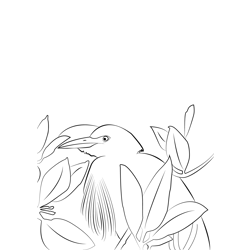 Cattle Egret 21 Free Coloring Page for Kids