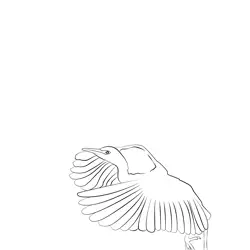 Cattle Egret 22 Free Coloring Page for Kids
