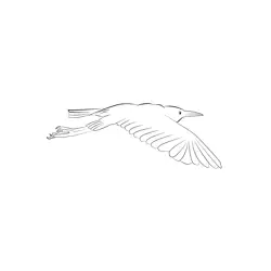 Cattle Egret 25 Free Coloring Page for Kids