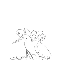 Cattle Egret 29 Free Coloring Page for Kids