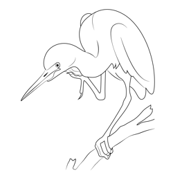 Cool Heron Bird Free Coloring Page for Kids
