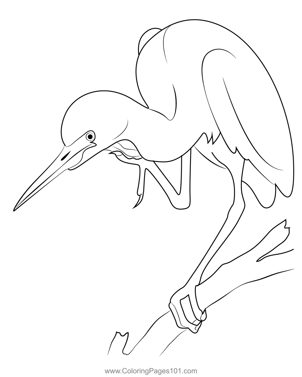 Cool Heron Bird