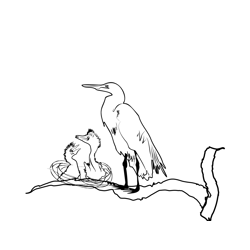 Great White Egret 4 Free Coloring Page for Kids