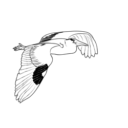 Grey Heron 3 Free Coloring Page for Kids