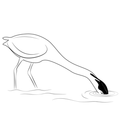 Grey Heron Free Coloring Page for Kids