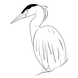 Heron 4 Free Coloring Page for Kids