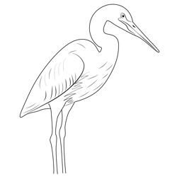 Heron 5 Free Coloring Page for Kids