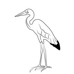 Heron 7 Free Coloring Page for Kids