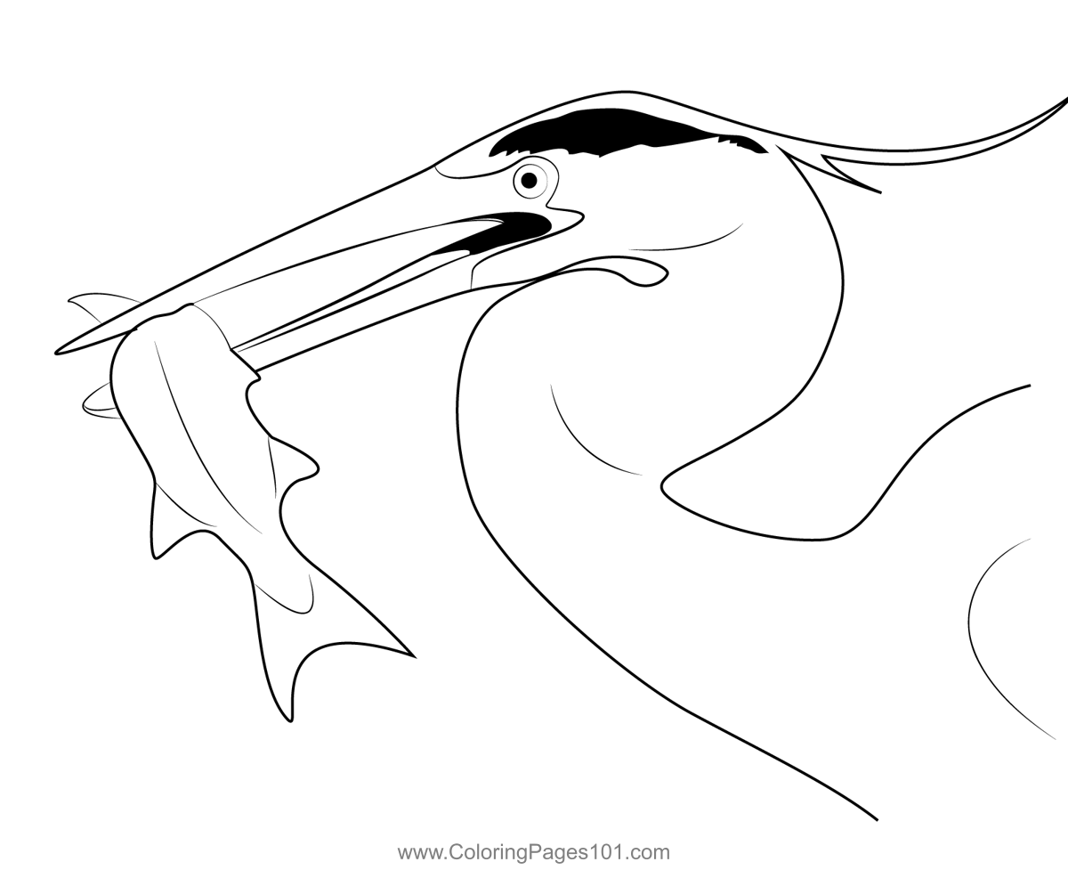 Heron Bird 1 Coloring Page for Kids - Free Herons Printable Coloring