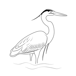 Heron Bird 2 Free Coloring Page for Kids