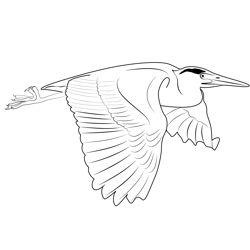 Heron Fly Bird Free Coloring Page for Kids