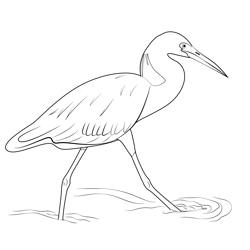 Little Heron Bird Free Coloring Page for Kids