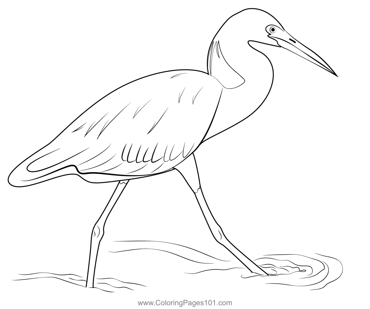 Little Heron Bird Coloring Page for Kids - Free Herons Printable ...