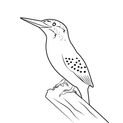 Blue Kingfisher Free Coloring Page for Kids