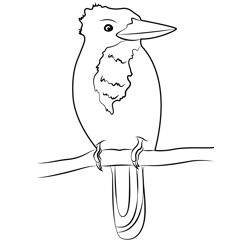 Common Kingfisher Free Coloring Page for Kids