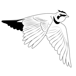 Flying Horned Lark Free Coloring Page for Kids