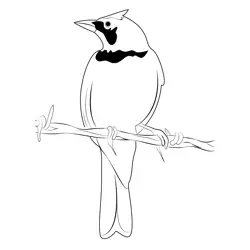 Horned Lark 10 Free Coloring Page for Kids