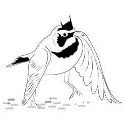 Horned Lark Walking Free Coloring Page for Kids
