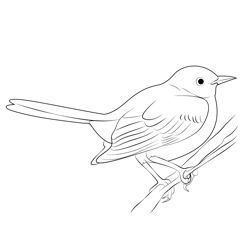 Awesome Mockingbird Free Coloring Page for Kids