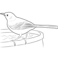 Mockingbird 2 Free Coloring Page for Kids