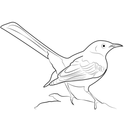 Mockingbird 3 Free Coloring Page for Kids