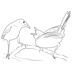 Mockingbird 5 Free Coloring Page for Kids