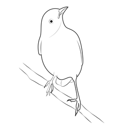 Mockingbird 6 Free Coloring Page for Kids