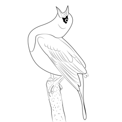 Call Yellow Headed Blackbird Free Coloring Page for Kids