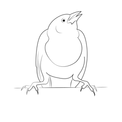 Yellow Headed Blackbird Free Coloring Page for Kids