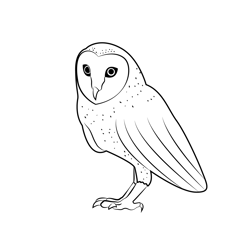 Barn Owl Sitting Alone Free Coloring Page for Kids