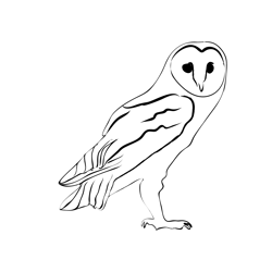 Birds barn Owl 1 Free Coloring Page for Kids