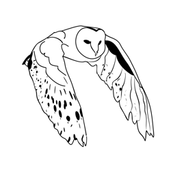 Birds barn Owl 3 Free Coloring Page for Kids
