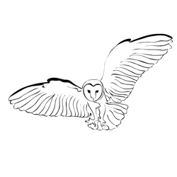 Birds barn Owl 4 Free Coloring Page for Kids