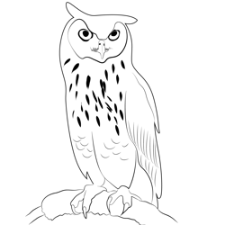 Eagle Owl Free Coloring Page for Kids